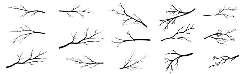 set of Dry branch icon collection,