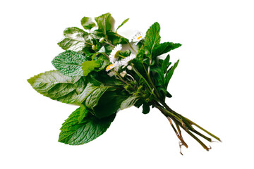 A vibrant assortment of fresh herbs, including mint and other greens, artfully arranged in a bouquet, set against a clean background, ideal for culinary and health-related uses