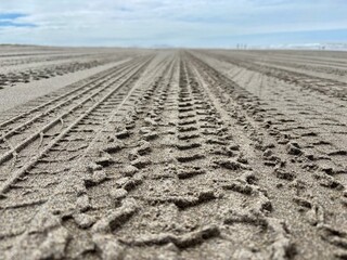 Car tracks on a sandy beach