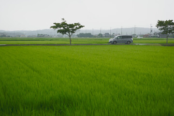 兵庫県・平池公園にて