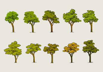 Set of trees element nature hand drawing symbol for architecture and landscape vector illustration. Isolated on white background.