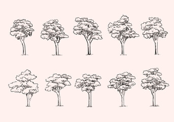 Set of trees element nature hand drawing symbol for architecture and landscape vector illustration. Isolated on white background.