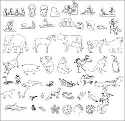 Fototapeta premium 2D Vector Drawing of Human Activities and Various Animal Illustrations