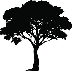 Silhouette of a Tree with Elegant Branches and Foliage Design