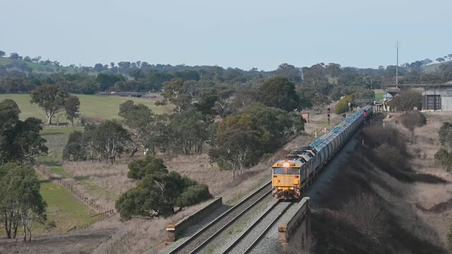Diesel grainn train locomotive and wagons approaching through a rural area