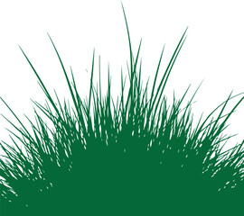 Lush Green Grass Silhouette Against a White Backdrop Depicting Nature's Freshness and Simplicity in an Eye Catching Visual