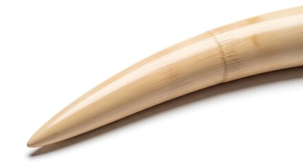 Obraz premium A close-up of a large, curved animal tusk with a smooth, polished texture, isolated on a white background.