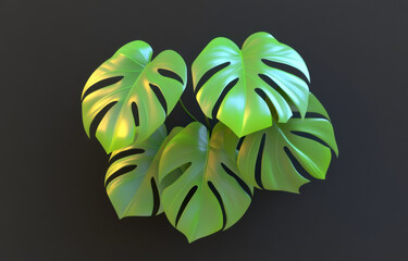 Vibrant monstera plant with large, glossy leaves showcases its unique split patterns against dark background, creating striking visual appeal. lush green foliage adds touch of nature beauty to any