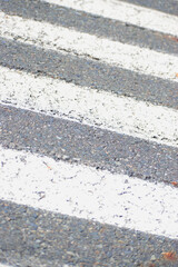 Fototapeta premium Lines painted on asphalt 