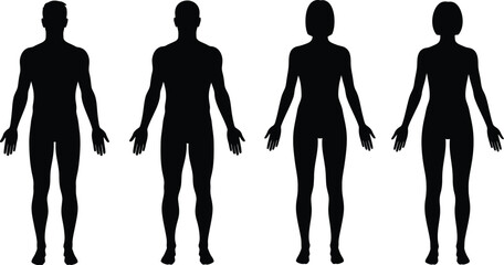 Silhouettes of male and female figures standing in front view, representing human anatomy, gender diversity, and character representation