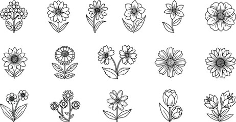Collection of flower illustrations set of vector line art designs of floral elements for botanical decoration, wedding invitation or tattoo design