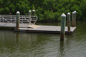 Obraz premium Wooden Dock by Calm Water Surrounded by Green Mangrove Trees. Serene wooden dock extending into still greenish water, backed by lush mangrove foliage. The quiet environment provides a peaceful spot fo