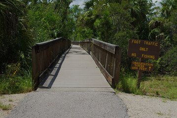 Wooden Bridge in a Forest with Sign Direction for Visitors. Surrounded by lush greenery, featuring a directional sign to an observation tower in the distance. The peaceful setting highlights a natural