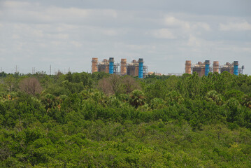 Obraz premium Industrial Factory Chimneys Behind Dense Green Forest Under a Blue Sky Weedon Island Power Plant St. Petersburg, FL. Large industrial facility with multiple blue chimneys is seen beyond a lush, expans