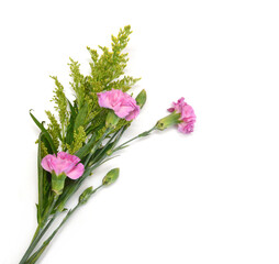 Stack Carnation flowers on white background