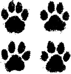 Set of Black Ink Paw Prints Isolated on White Background © Kaberee