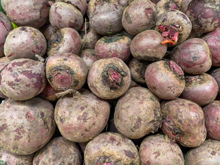 A pile of beets with some of them being rotten. The beets are all different sizes and some are larger than others