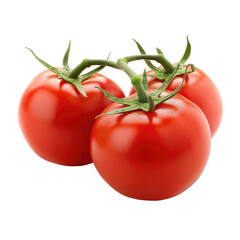 Vine-ripe red tomatoes, on-the-vine, studio shot, white background, food recipe