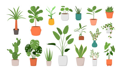Indoor and outdoor landscape garden potted plants isolated on white. Vector set green plant in pot, illustration of flowerpot bloom