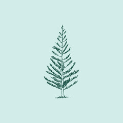 Pine tree icon, minimal logo forest