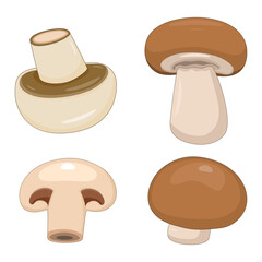 Set of edible mushroom illustrations, featuring whole and sliced champignon and brown cremini fungi.