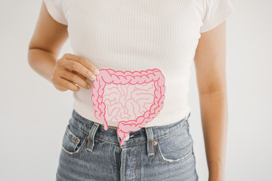 hands holding intestine shape, healthy bowel digestion,  probiotic for gut health, colon,  stomach cancer