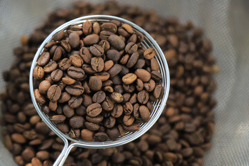 roasted coffee bean checking after roast for good quality in process before selling