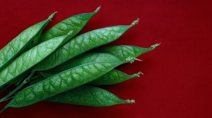 Fresh green pea pods fanned out against a vibrant red background green peas