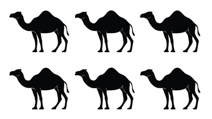 Six black camel silhouettes camels white
