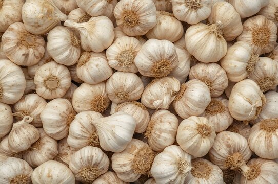 Pile a garlic texture without skin.