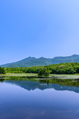 北海道知床半島の知床五湖を歩く初夏の風景。6月、澄み渡る青空の下、豊かな原生林と湖面に映る空と山々が美しい絶景。