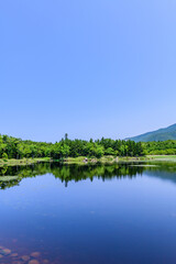 北海道知床半島の知床五湖を歩く初夏の風景。6月、澄み渡る青空の下、豊かな原生林と湖面に映る空と山々が美しい絶景。