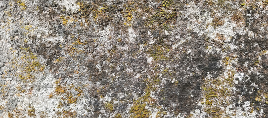 stone wall background
