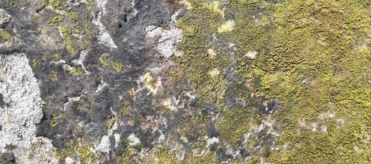 stone wall background