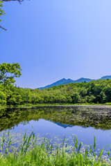 北海道知床半島の知床五湖を歩く初夏の風景。6月、澄み渡る青空の下、豊かな原生林と湖面に映る空と山々が美しい絶景。