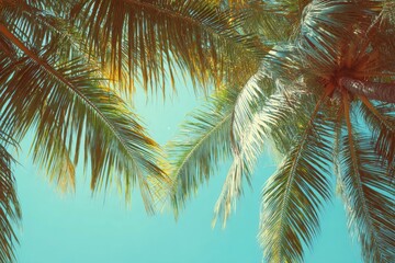 Fototapeta premium Palm fronds against a vibrant sky