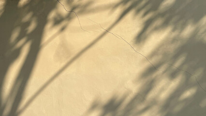 
Abstract Leaves Shadows on Concrete Wall Creating Minimalist Artistic Patterns for Modern Decorative Background
