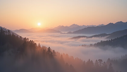 Obraz premium Golden sunrise illuminates misty mountain valley with silhouetted pine trees creating a serene, breathtaking natural landscape perfect for travel and adventure themes