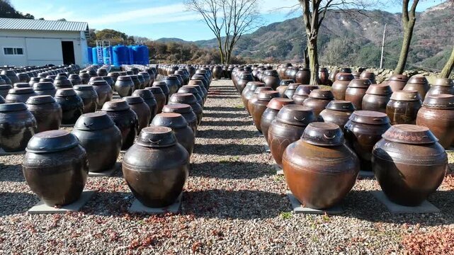 Filmed on December 3, 2024 Korean traditional earthenware jars for fermenting sauces in Hamyang