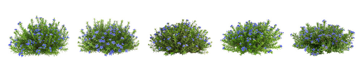 Five Variations of a Lush Blue Flower Bush