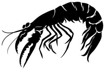 Mantis shrimp silhouette drawing