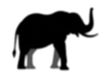 Elephant Silhouette Walking Illustration in Black and White