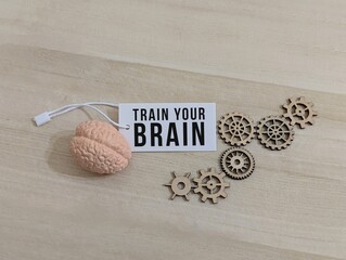 Train Your Brain Concept with Brain Model and Gears
