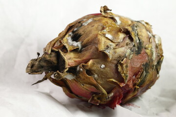 Damaged Dragon Fruit in Studio Lighting