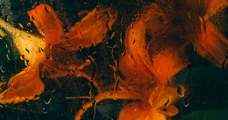 Lily flower. Fractal petals. Defocused red orange green color plant pistils leaves liquid bubbles...
