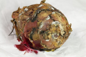 Damaged Dragon Fruit in Studio Lighting