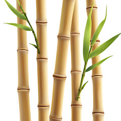 Fototapeta premium Arrangement of tan bamboo stalks with green leaves isolated on white background.