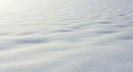 Minimalist Snow Surface with Gentle Ripples and Sparkling Ice Crystals