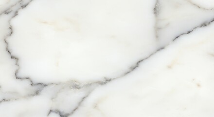 White Marble Surface with Gray Veins in Close Up
