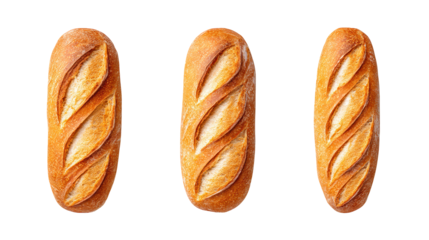 Artisanal bread selection, whole wheat, sourdough, and white loaves fresh from the oven